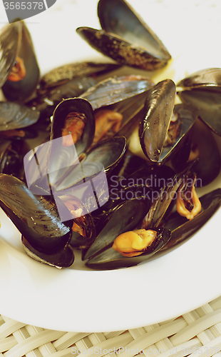 Image of Mussels