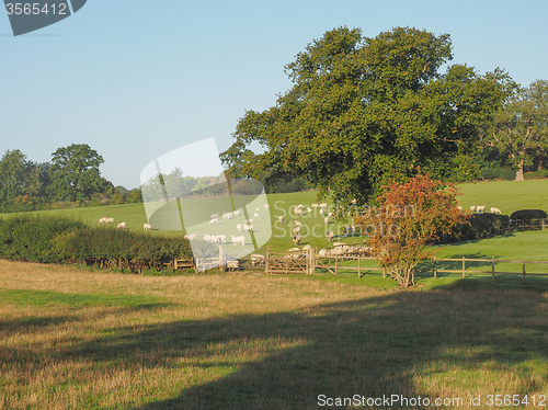 Image of View of Tanworth in Arden