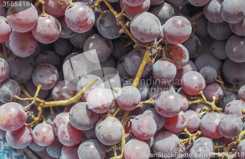 Image of Red grape fruits