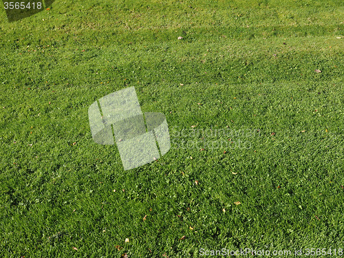 Image of Green grass meadow background