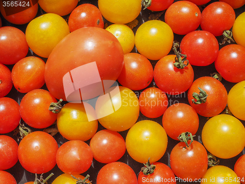 Image of Cherry tomato vegetables background