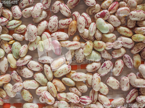 Image of Crimson beans vegetables background