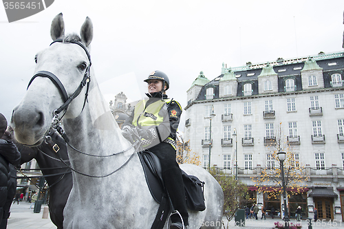 Image of Police Horse
