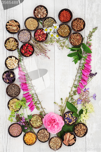 Image of Herbs and Flowers