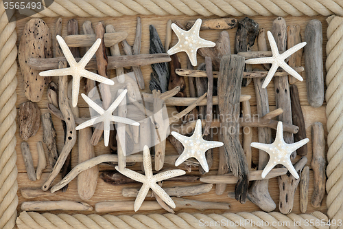 Image of Starfish and Driftwood 