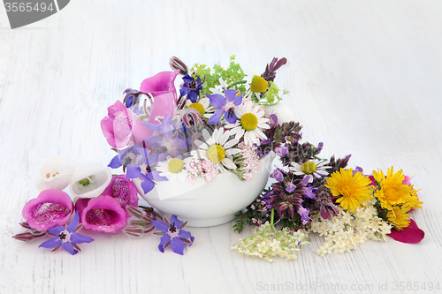 Image of Natural Herbal Medicine