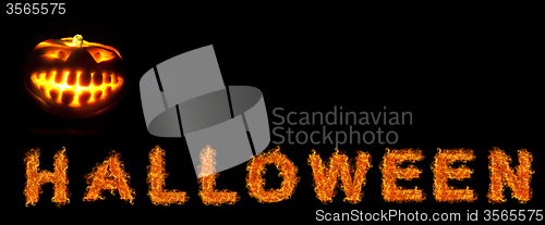 Image of Halloween pumpkin