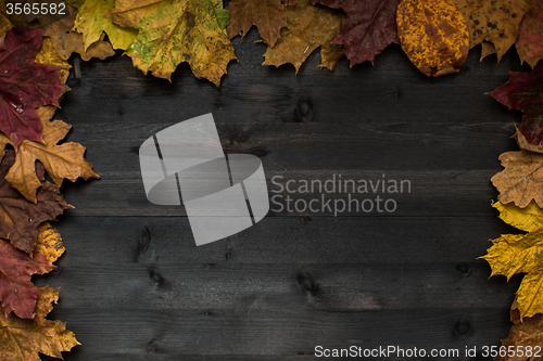 Image of Wood autumn background