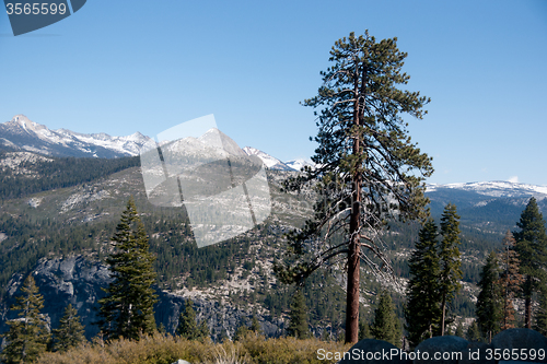 Image of Hiking panaramic train in Yosemite