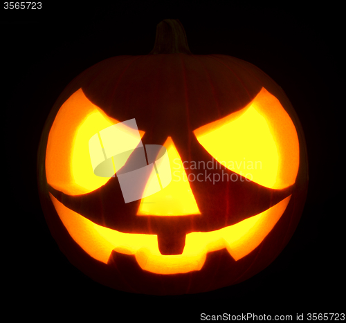 Image of Halloween pumpkin