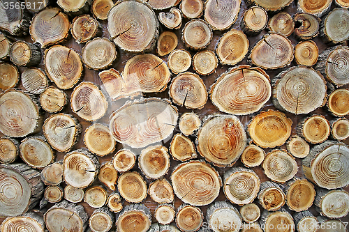Image of Background from wood