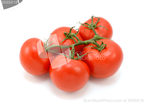 Image of Five ripe red tomatoes on the vine