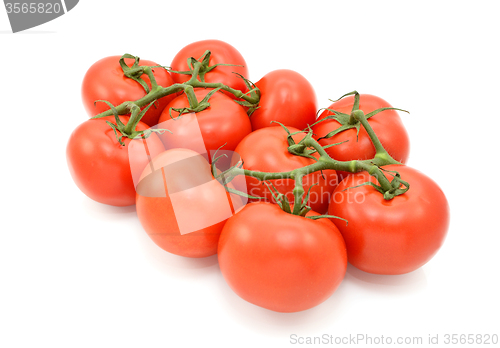 Image of Red tomatoes on the vine