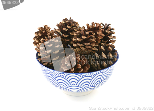 Image of Small pine cones in a blue and white bowl