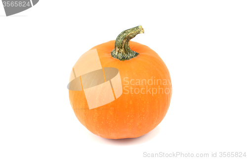 Image of Orange sugar pumpkin