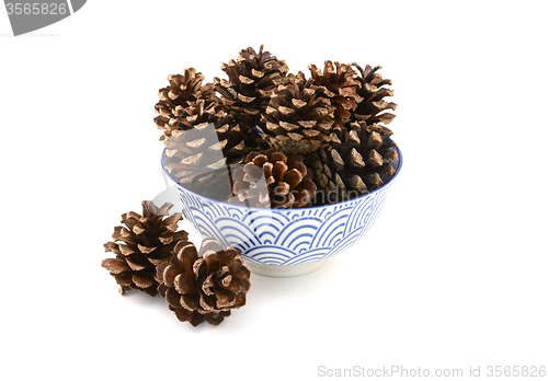 Image of Fir cones arranged in and around a blue and white bowl