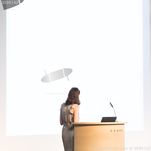 Image of Business woman making business presentation.