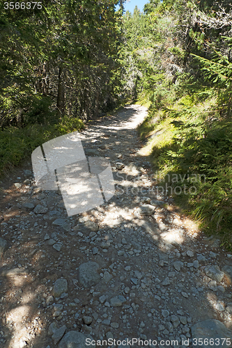 Image of Tourist Path