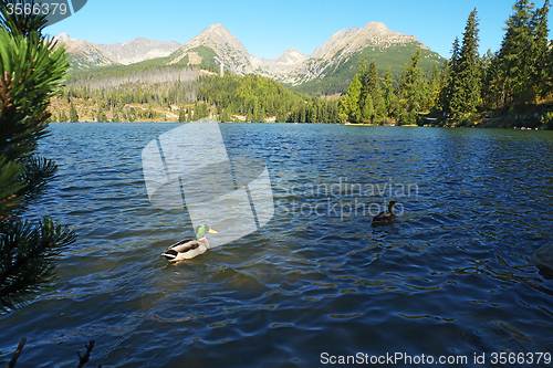 Image of Mountain Lake