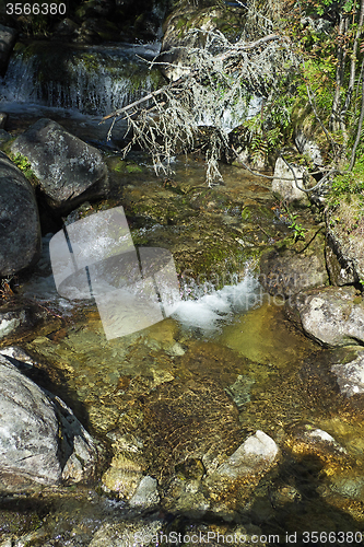 Image of Mountain Stream