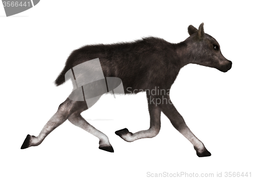 Image of Caribou Calf