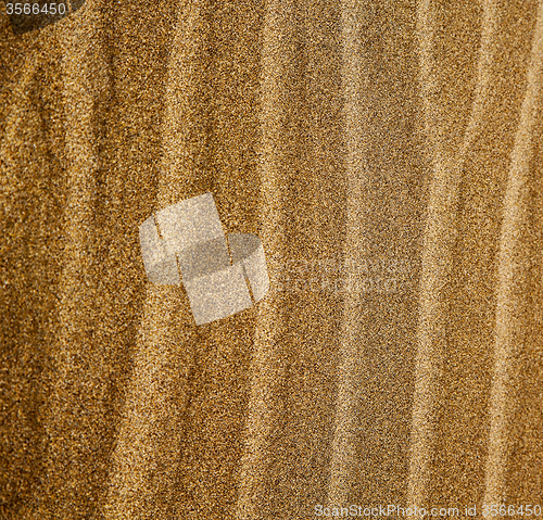 Image of in lanzarote  spain   of a  dry sand and the beach 