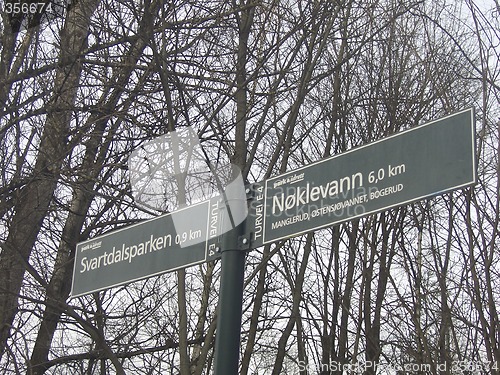 Image of Pathway signpost in the woods