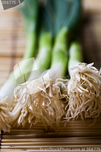 Image of Spring onions