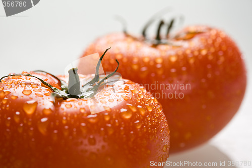 Image of Tomatoes