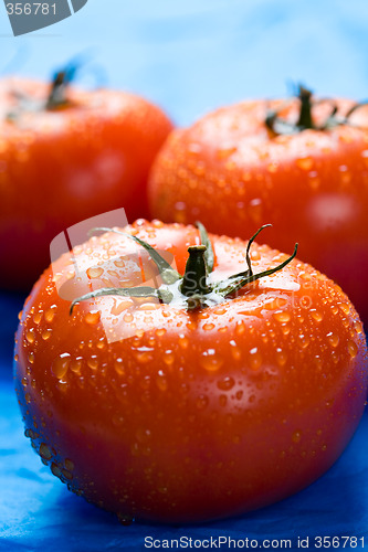 Image of Tomatoes