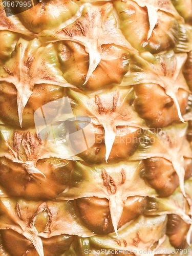 Image of Retro looking Pineapple picture