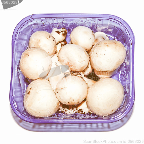Image of Retro looking Mushrooms
