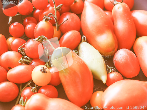 Image of Retro looking Tomato vegetable