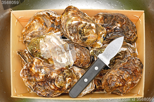 Image of Oysters and Shucker