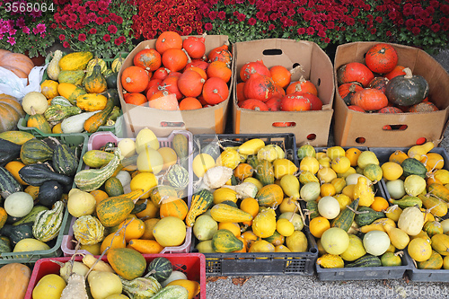 Image of Pumpkins