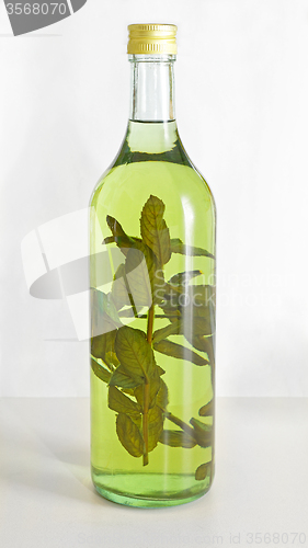 Image of Herbs Liqueur