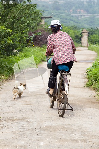 Image of Woman on Bicycle with Dog