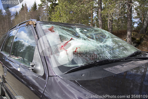 Image of Car Crash