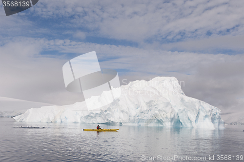 Image of Icebergs in Antarctica