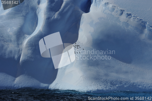 Image of Icebergs in Antarctica