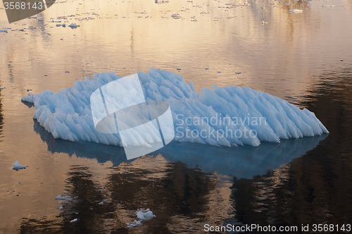 Image of Icebergs in Antarctica