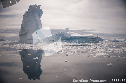 Image of Icebergs in Antarctica