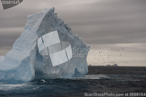 Image of Icebergs in Antarctica