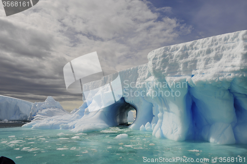 Image of Icebergs in Antarctica