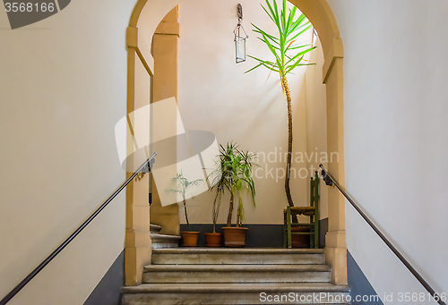 Image of Stairs, plants and a chair