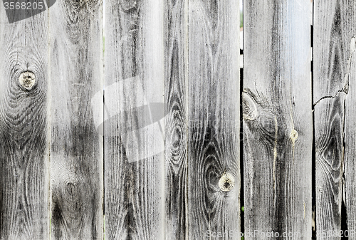 Image of Texture of wood background closeup