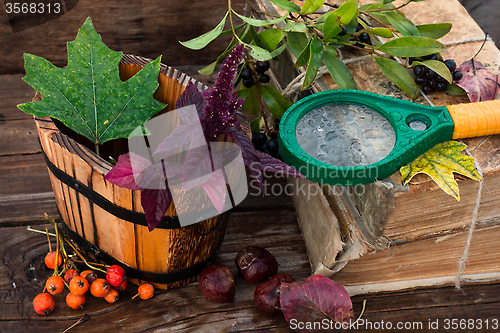 Image of Autumn time