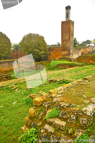 Image of chellah  in morocco africa             old   deteriorated monume