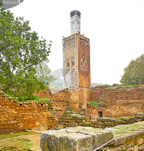 Image of chellah  in morocco africa the old roman deteriorated monument a