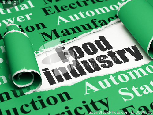 Image of Industry concept: black text Food Industry under the piece of  torn paper